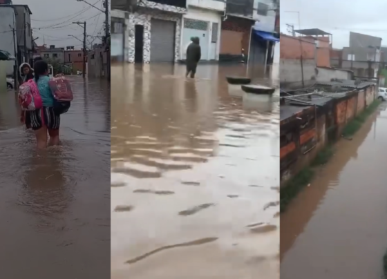 CNN Brasil