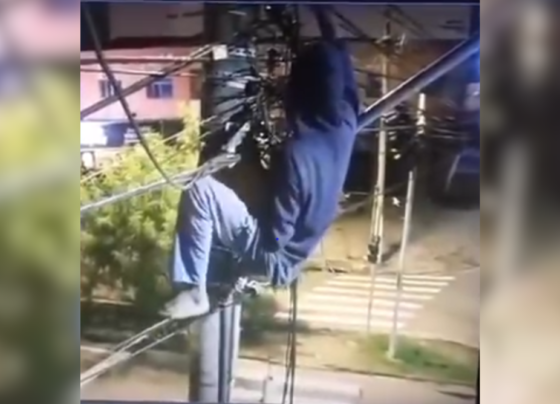 CNN Brasil