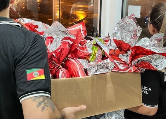 CNN Brasil